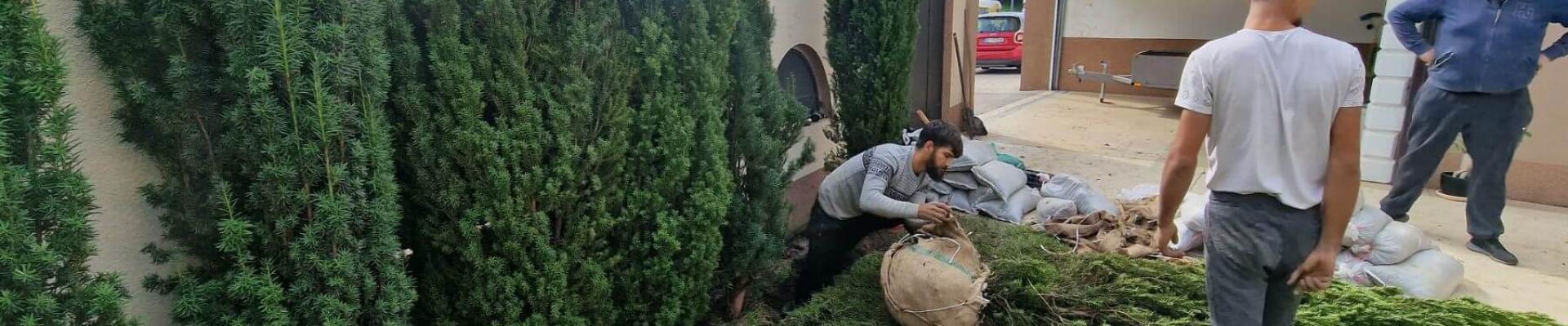 Nanošenje Humusne zemlje