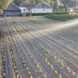 Izrada zalivnih sistema